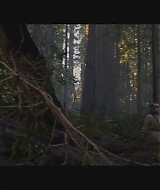 SBO-BirdBox_020.jpg