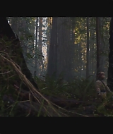 SBO-BirdBox_021.jpg