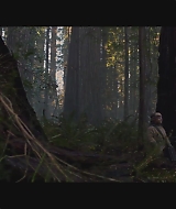 SBO-BirdBox_022.jpg