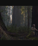 SBO-BirdBox_023.jpg