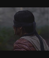 SBO-BirdBox_026.jpg