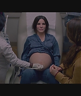 SBO-BirdBox_034.jpg