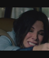 SBO-BirdBox_071.jpg