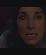 SBO-BirdBox_101.jpg