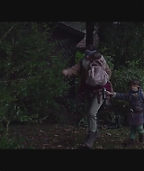 SBO-BirdBox_106.jpg