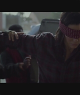 SBO-BirdBox_110.jpg