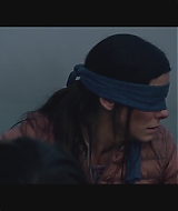 SBO-BirdBox_120.jpg