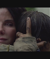 SBO-BirdBox_125.jpg