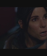SBO-BirdBox_130.jpg