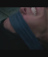 SBO-BirdBox_141.jpg